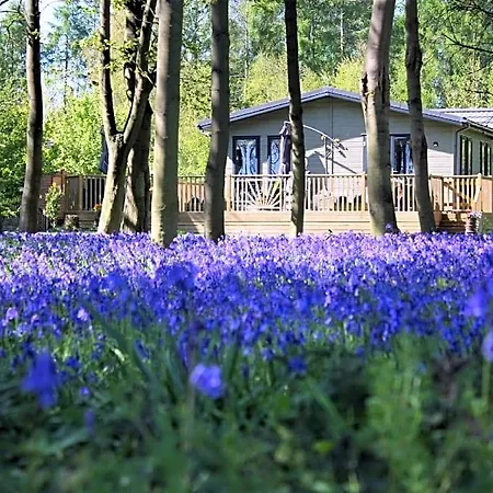 Hollicarrs - Woodland 3* York