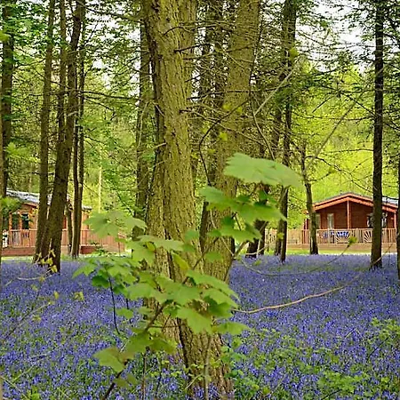 Hotel Hollicarrs - Woodland York