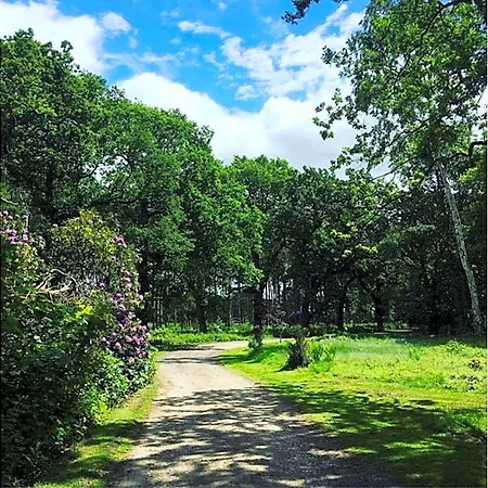 Hollicarrs - Woodland Hotel 3*