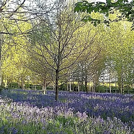 Hotel Hollicarrs - Woodland York