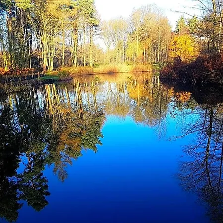 Hollicarrs - Woodland 3*