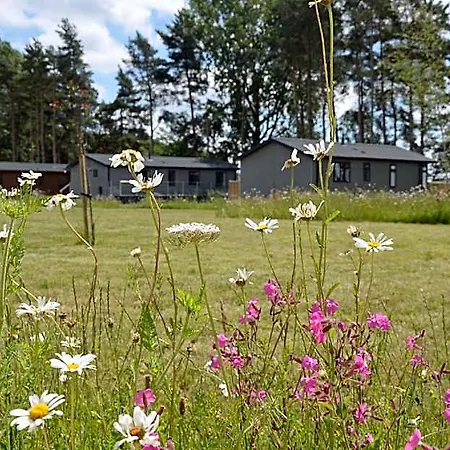 Hollicarrs - Woodland Hotel