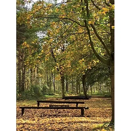 Hollicarrs - Woodland Hotel York