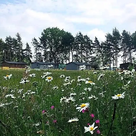 Hollicarrs - Woodland Hotel 3*