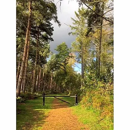 Hollicarrs - Woodland 3* York
