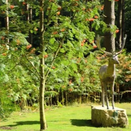 Hotel Hollicarrs - Woodland York
