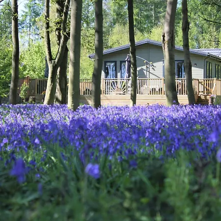 Hollicarrs - Woodland 3* York