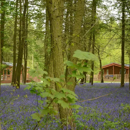 Hotel Hollicarrs - Woodland 3*