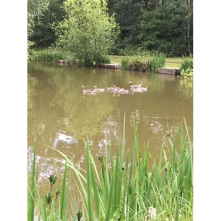 Hollicarrs - Woodland Hotel York